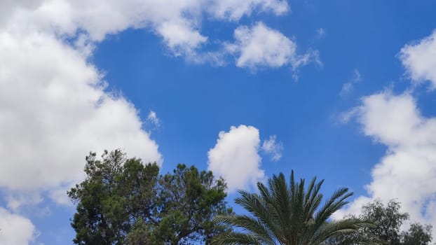 blue sky, white clouds background spring , green trees nature weather atmosphere. High quality photo
