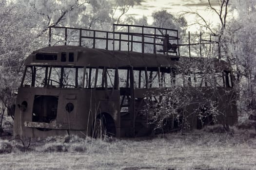 Infrared wavelength photo of a derelict bus abandoned in the Australian outback, surrounded by overgrown trees and grasses.