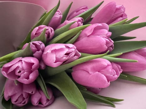 Bouquet of lilac tulips on a soft lilac background close-up.