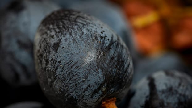 Close up of ripe grapes, background of grapes.