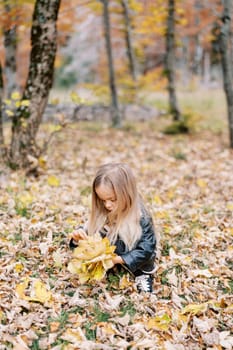 Little girl collects a bouquet of yellow leaves while squatting in the autumn park. High quality photo