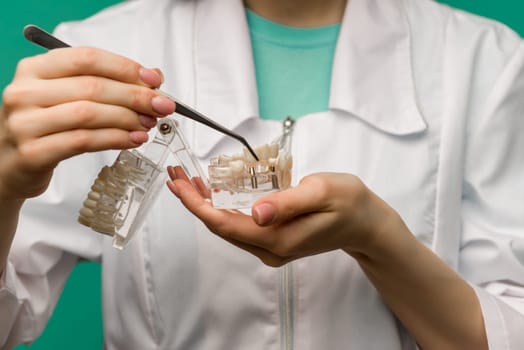 Woman dentist showing on a jaw model oral checkup - image