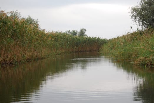 The Dnieper floodplain, many canals and small lakes