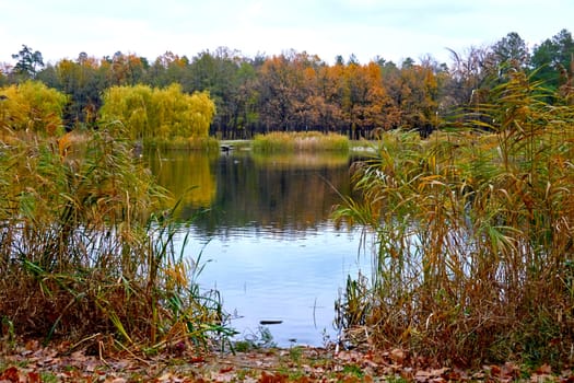 Autumn is the most colorful time of the year from all seasons, when nature changes its usual appearance to golden colors