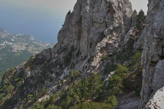 View from the mountain, below is a valley flowing into the Black Sea.You can also see many trees growing right on the rock.