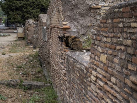 old ancient ostia archeological site ruins