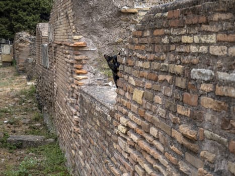 old ancient ostia archeological site ruins