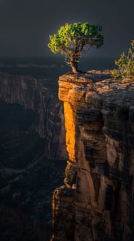 A lone tree on a cliff overlooking the ocean at sunset