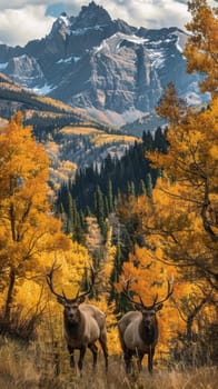 Two deer standing in front of a mountain with trees