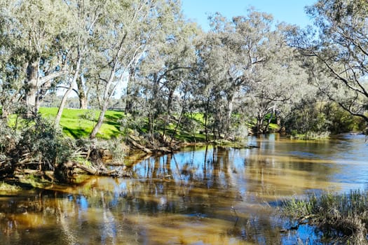 River landscape on the Campaspe River during the afternoon near Axedale in Victoria, Australia.