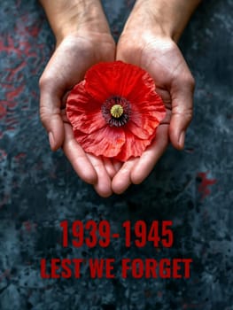 A person holding a red poppy flower in their hands, symbolizing Remembrance Day