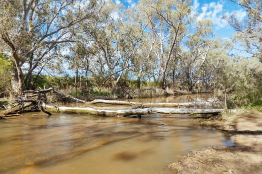 River landscape on the Campaspe River during the afternoon near Axedale in Victoria, Australia.