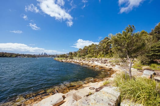 SYDNEY, AUSTRALIA - DECEMBER 03, 2023: The Barangaroo Reserve area of Sydney near The Rocks in Sydney, New South Wales, Australia.