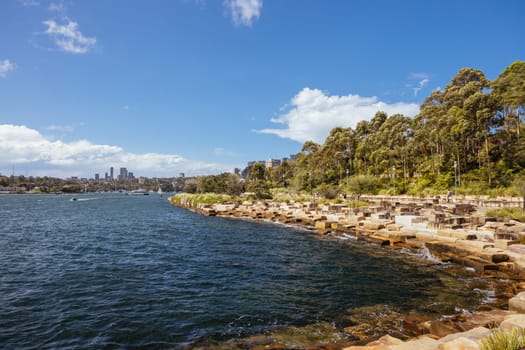 SYDNEY, AUSTRALIA - DECEMBER 03, 2023: The Barangaroo Reserve area of Sydney near The Rocks in Sydney, New South Wales, Australia.