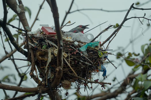 Detailed image of a bird's nest created using plastic debris, highlighting environmental pollution issues and wildlife adaptation