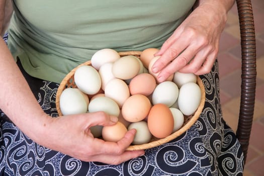 elderly woman holds a basket of fresh organic chicken eggs of different colors on her knees, collected from a chicken coop, High quality photo