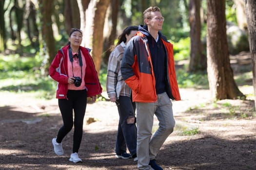 A group of friends walking through a dense forest, surrounded by tall trees and leaves rustling underfoot. The individuals are engaged in conversation and enjoying the outdoor adventure together.