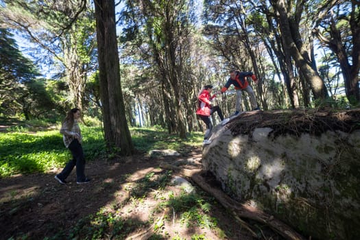 A group of friends is trekking through a dense forest, surrounded by tall trees and lush greenery. The individuals are dressed in outdoor gear, chatting and enjoying the peaceful hike amidst nature.