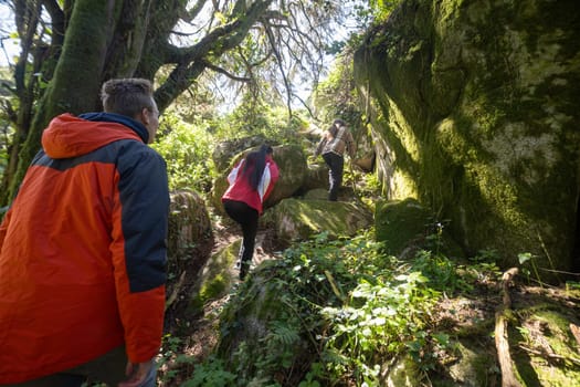 A group of friends hiking together through a dense and vibrant green forest. The individuals are wearing hiking gear and backpacks, surrounded by tall trees and lush vegetation.