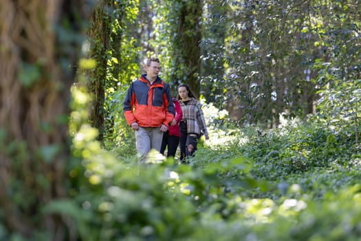 A couple of friends are walking together through a dense forest, surrounded by towering trees and dappled sunlight shining through the foliage. They are chatting and enjoying the serene nature around them.