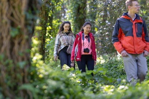 A group of friends is seen walking through a dense forest, surrounded by towering trees and the sounds of nature. Sunlight filters through the canopy above, casting dappled light on the forest floor as the group makes their way along a winding trail.