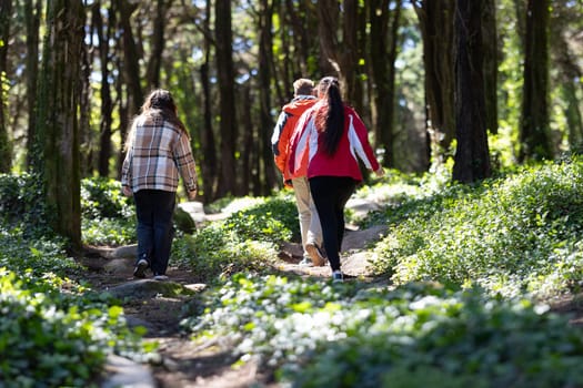 A couple of individuals are casually strolling through a dense forest, surrounded by tall trees and a natural green environment. They appear relaxed and engaged in conversation as they explore the woodland together.
