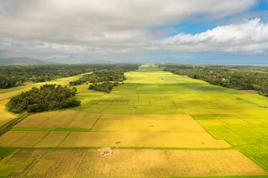 Rice fields and agricultural land in the Philippines.
