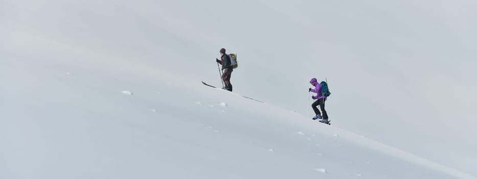 In a display of unwavering teamwork and determination, two professional skiers ascend the snow-capped peaks of the Alps, united in their quest for the summit.