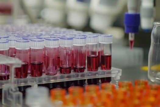 A close-up view of multiple blood sample tubes organized in a tray at a scientific research laboratory, showcasing a meticulous healthcare environment.