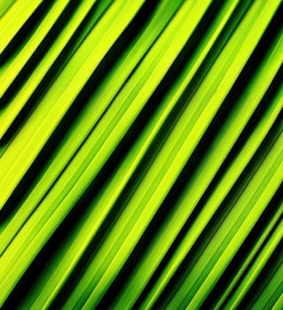 The image is a green and white striped background with a wavy pattern.