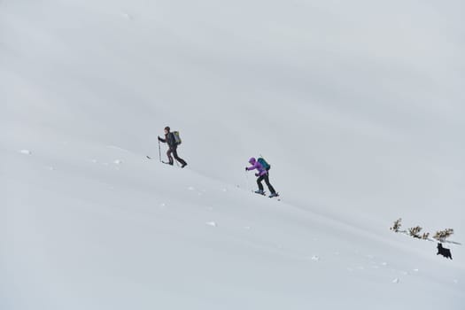A group of professional ski mountaineers ascend a dangerous snowy peak using state-of-the-art equipment.