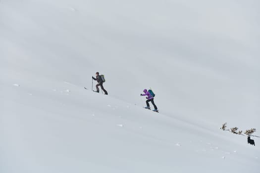 In a display of unwavering teamwork and determination, two professional skiers ascend the snow-capped peaks of the Alps, united in their quest for the summit.