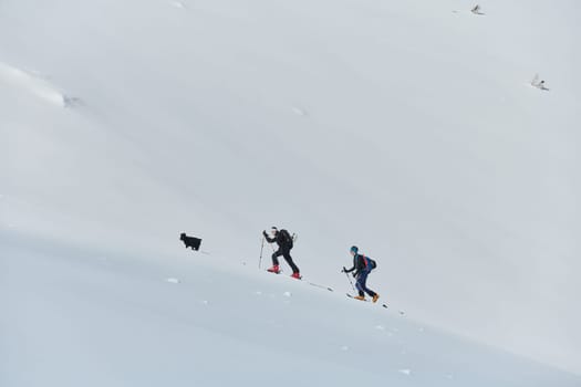 A group of professional ski mountaineers ascend a dangerous snowy peak using state-of-the-art equipment.