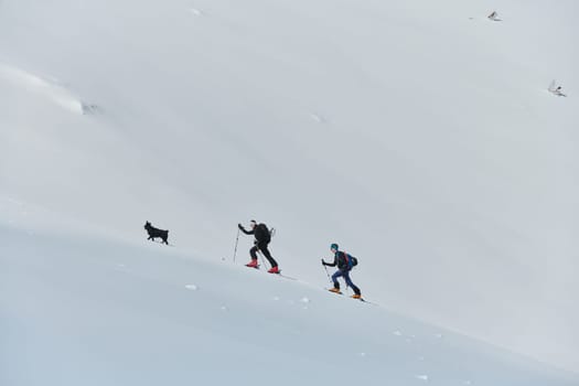 A group of professional ski mountaineers ascend a dangerous snowy peak using state-of-the-art equipment.