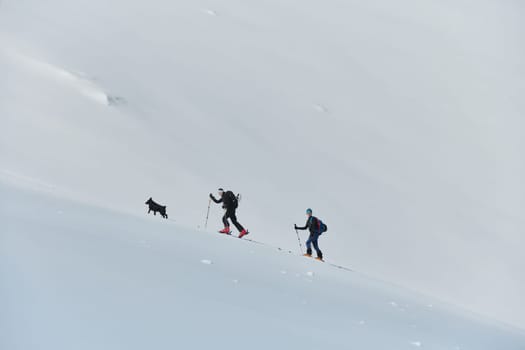 A group of professional ski mountaineers ascend a dangerous snowy peak using state-of-the-art equipment.