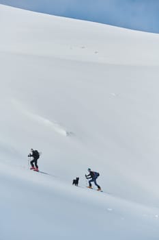 In a display of unwavering teamwork and determination, two professional skiers ascend the snow-capped peaks of the Alps, united in their quest for the summit.