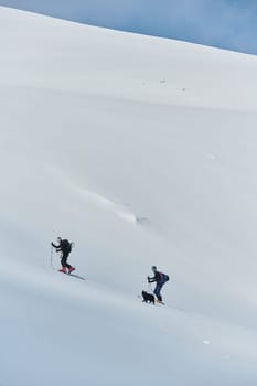 In a display of unwavering teamwork and determination, two professional skiers ascend the snow-capped peaks of the Alps, united in their quest for the summit.