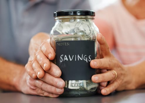 Savings, money and hands of couple on piggy bank container for investment, fund or future plan. Marriage, finance and cash to budget income for increase in financial freedom with asset management.