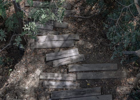 A old wooden walkway with fallen Leaves and Sunlight through in forest tropical. Natural image of a pathway, Space for text, Selective focus.