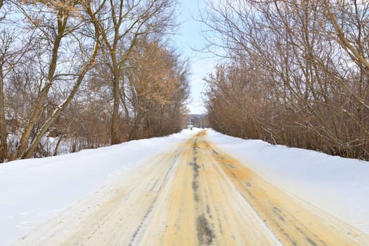 Rural winter road with trees on sides