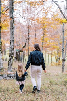 Little girl walks through the autumn forest, holding her mother hand. Back view. High quality photo