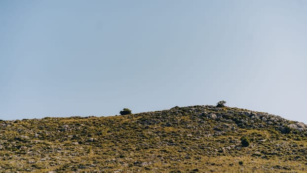 Summer landscape, grassy rolling hill and rocks of Dugi Otok island in Adriatic Sea, Croatia