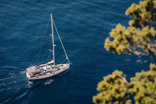 Aerial view of luxury yacht in sea waves and pine branch, maritime cruise in Adriatic Sea, Croatia