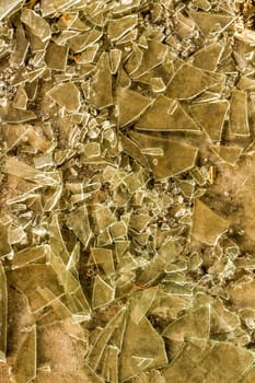 Dive into the fractured world of shattered glass with this mesmerizing texture, capturing the intricate patterns and jagged edges of fragmented panes