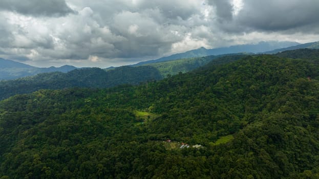 Slopes of mountains with evergreen vegetation. Negros, Philippines