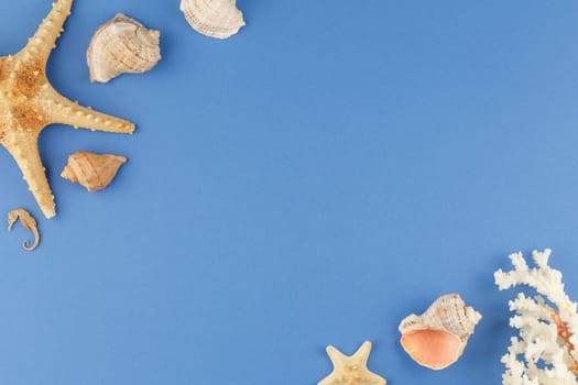 Corals and starfishes on a blue isolated background. Top view. Summertime holiday vacation concept. Flat lay. Banner with seashells.