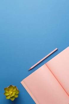 Pink notebook with pencil and home plant with green leaves on blue isolated background. Flat lay. Top view. Vertical photo