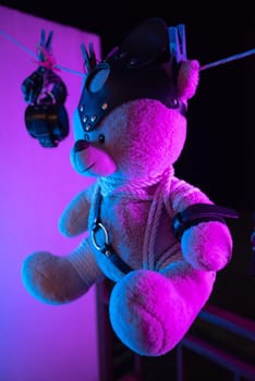 toy teddy bear in a bdsm mask and leather straps hangs on a clothesline in neon light on a dark background