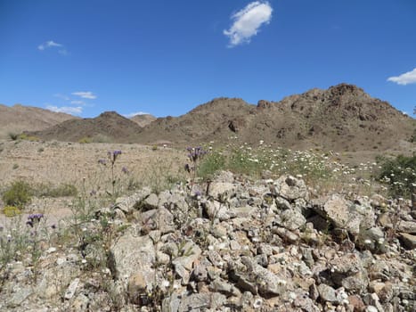 Serene Mountain View - Arizona Desert - Arid Rocky Terrain. High quality photo