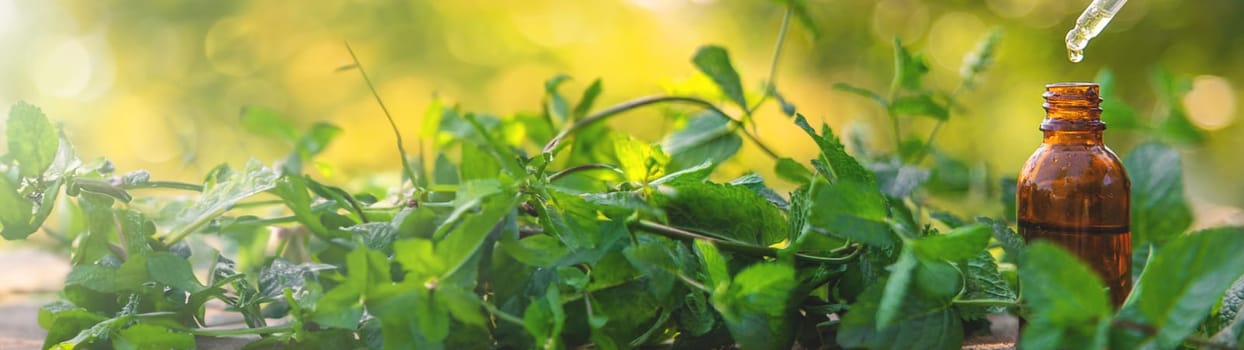 Peppermint essential oil in a bottle. selective focus. nature.